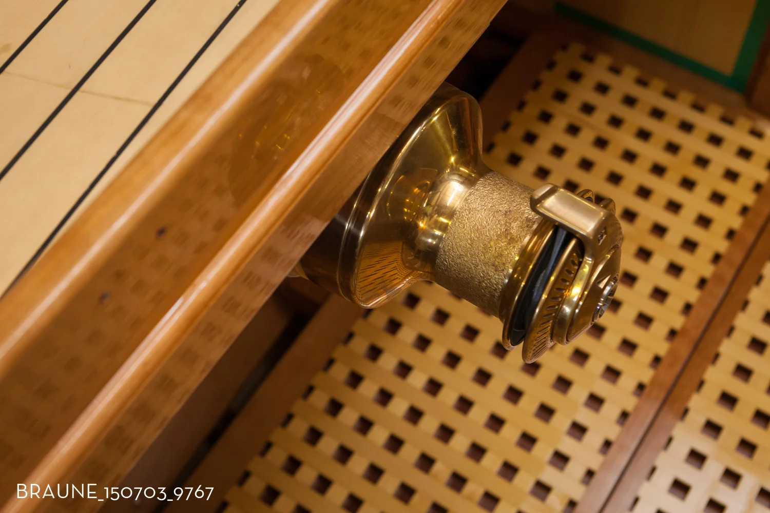 BRAUNE_150703_9767.jpg