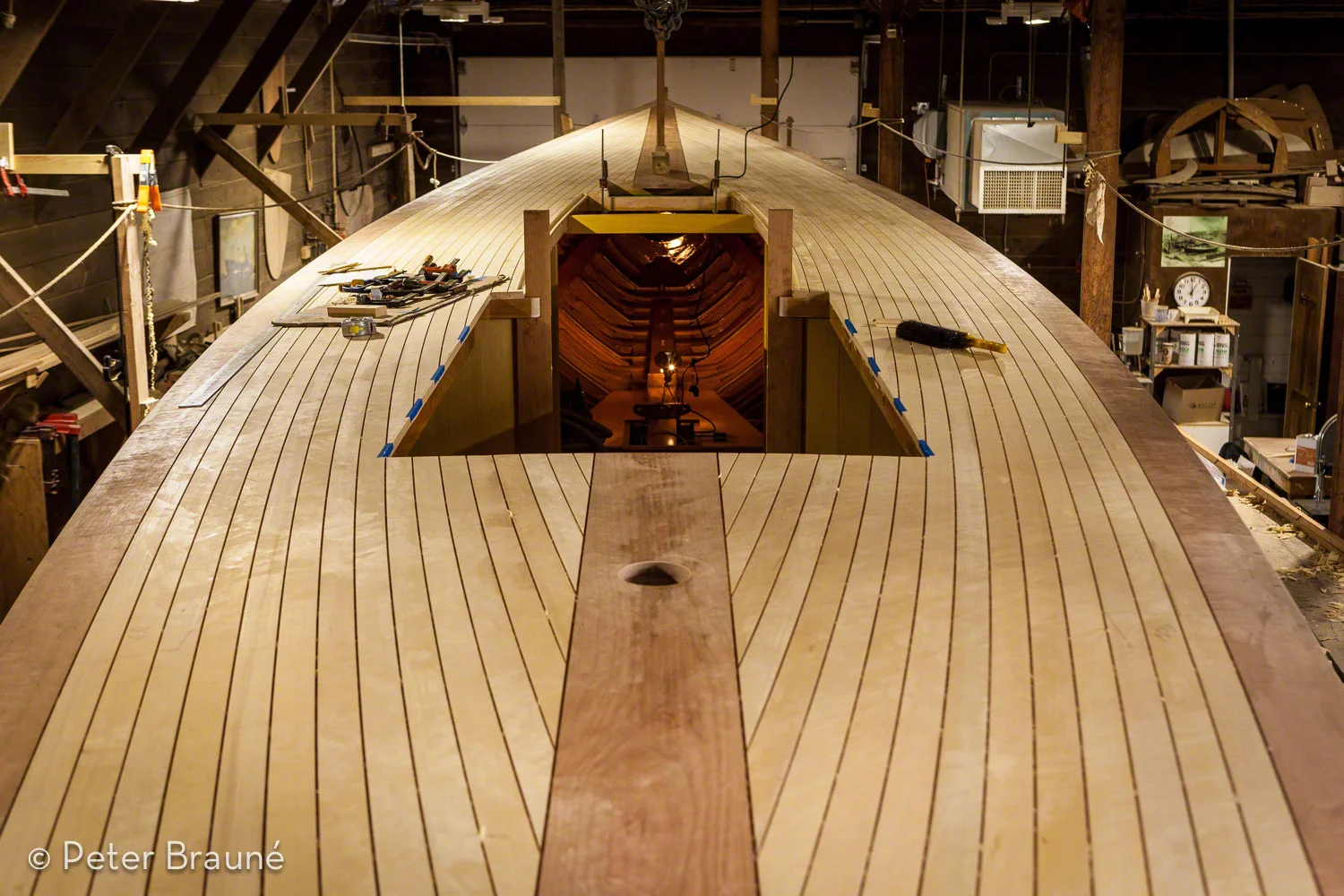 BRAUNE_150315_8853.jpg