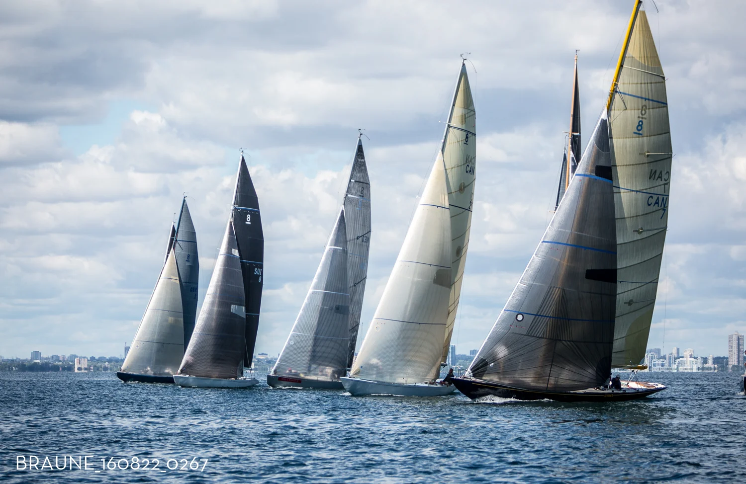 BRAUNE_160822_0267.jpg