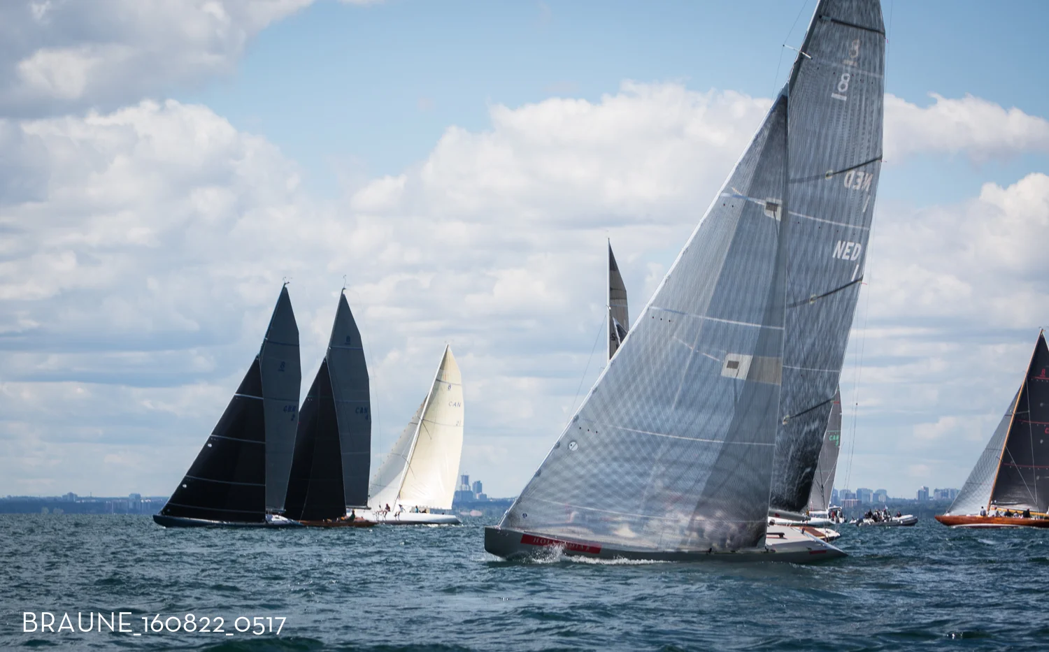 BRAUNE_160822_0517.jpg