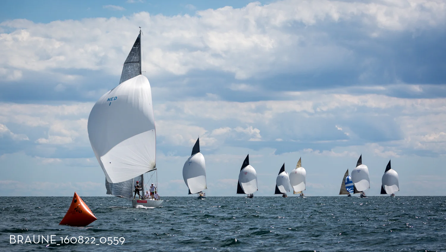 BRAUNE_160822_0559.jpg