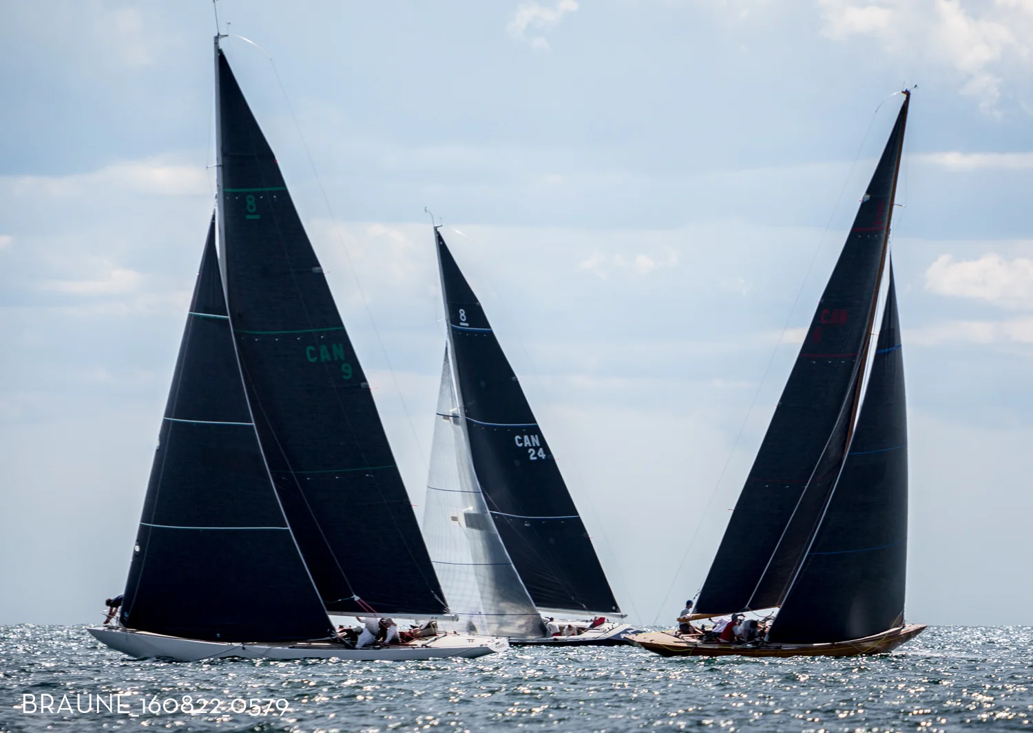 BRAUNE_160822_0579.jpg