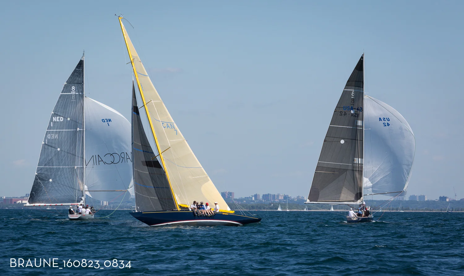 BRAUNE_160823_0834.jpg