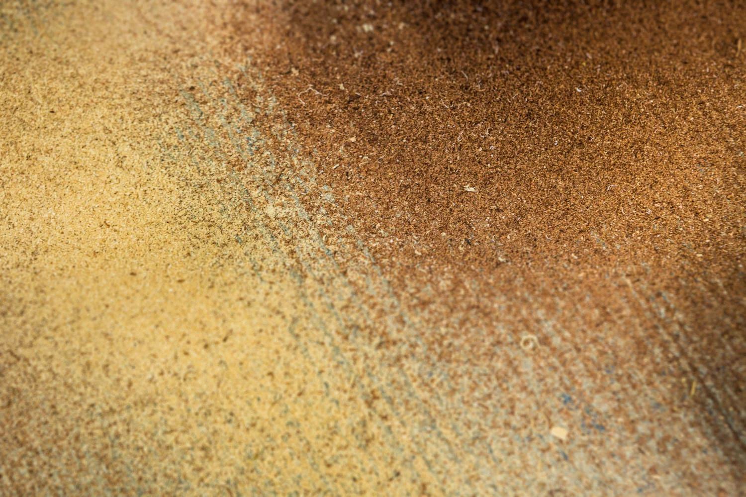 BRAUNE_170915_6096.jpg