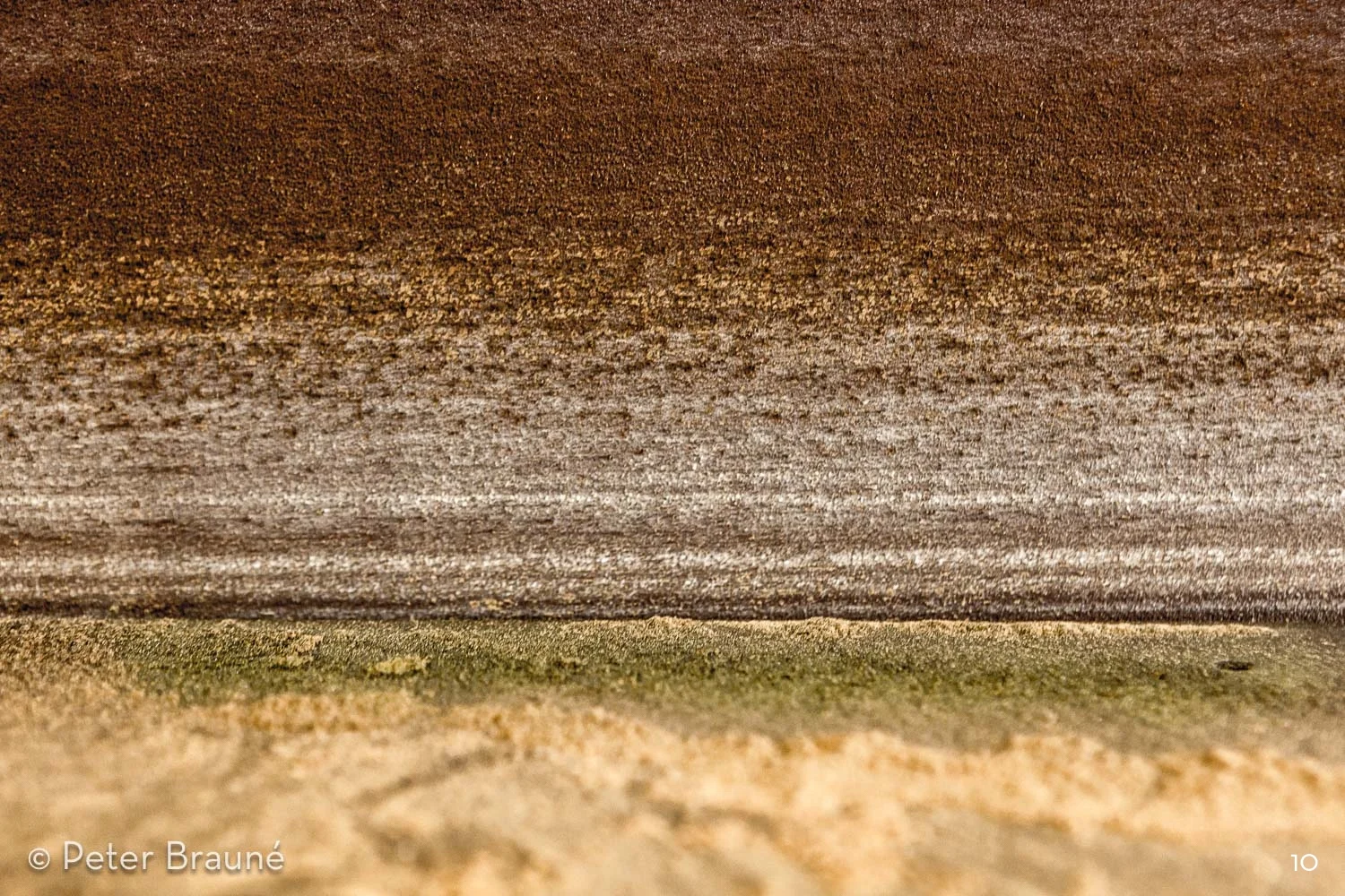 BRAUNE_171109_7005.jpg