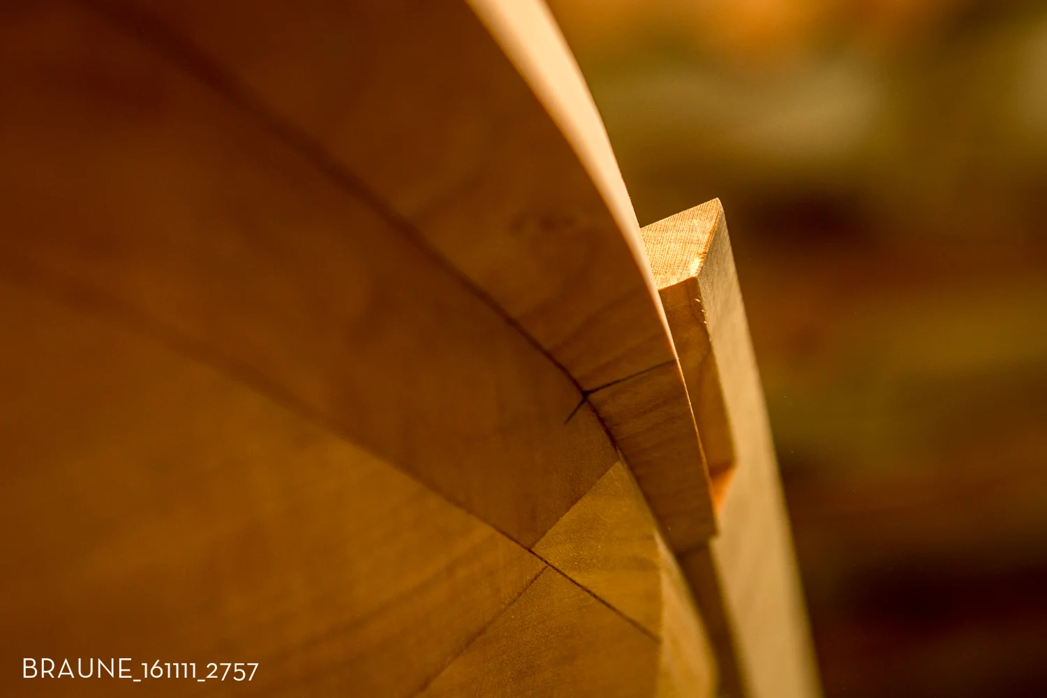 BRAUNE_161111_2757.jpg