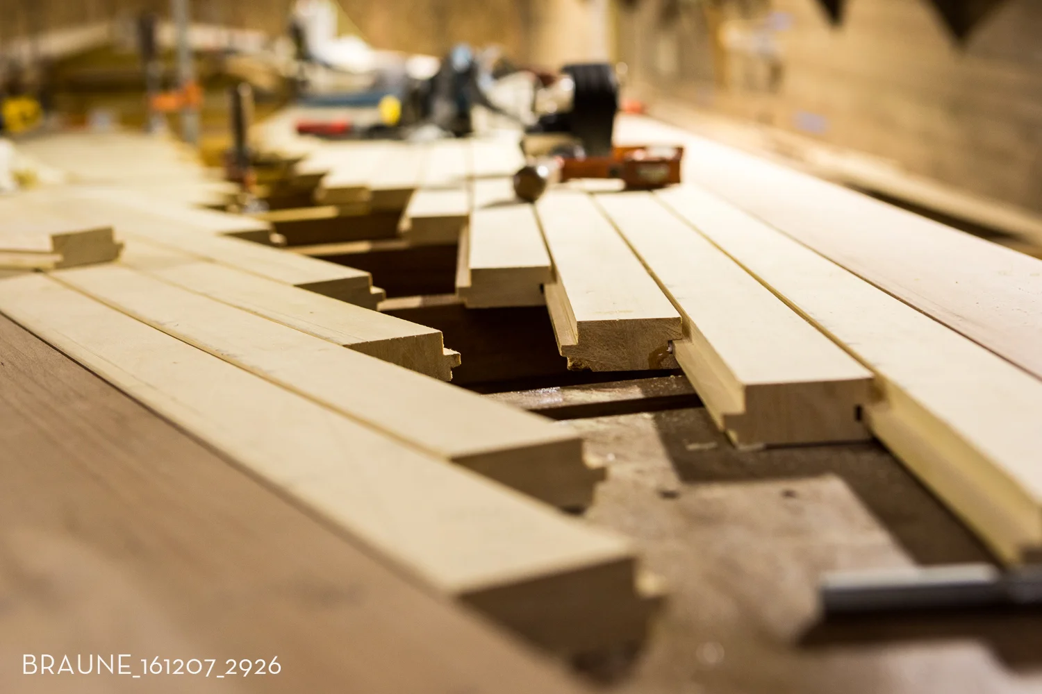 BRAUNE_161207_2926.jpg
