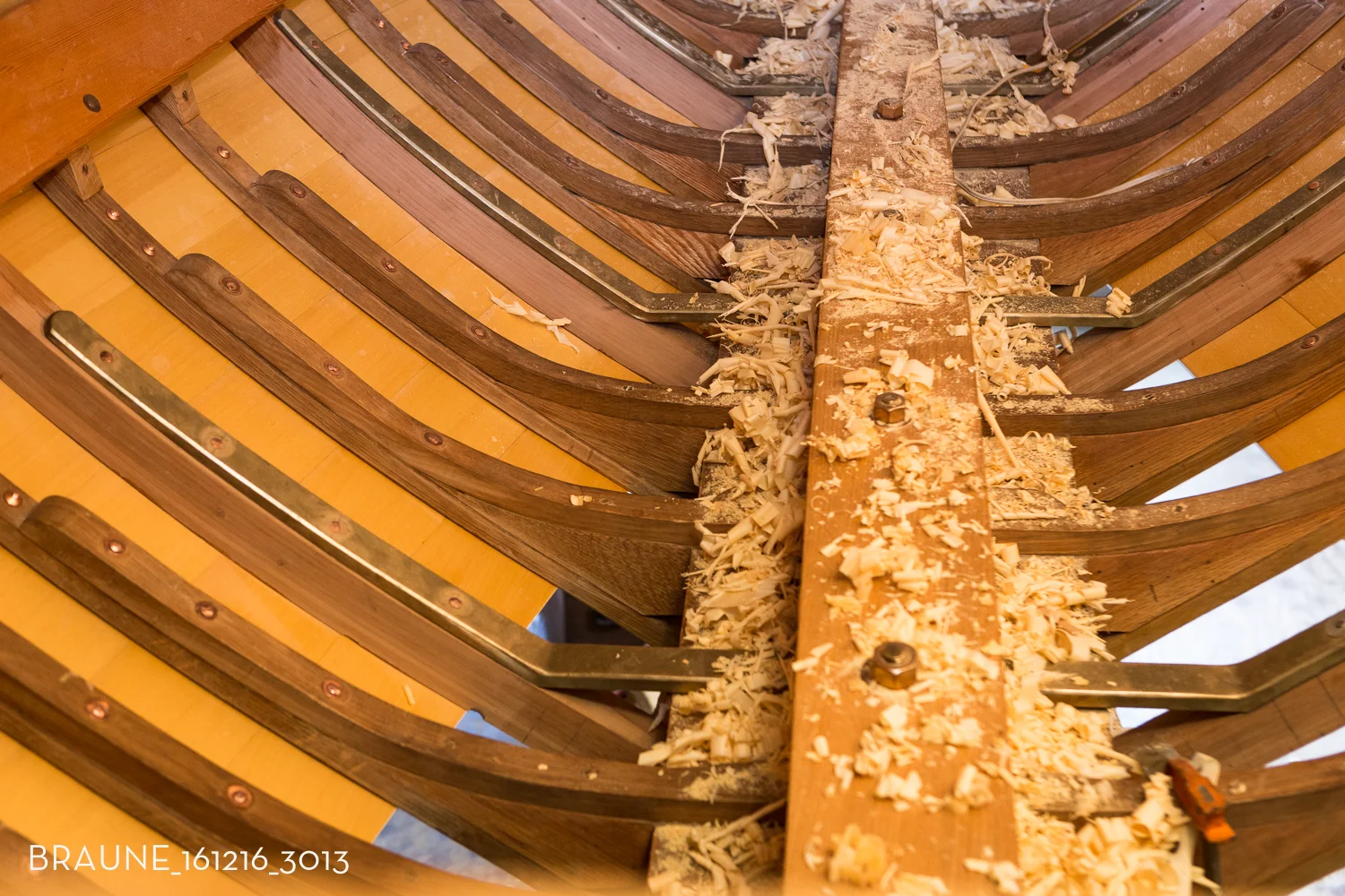 BRAUNE_161216_3013.jpg