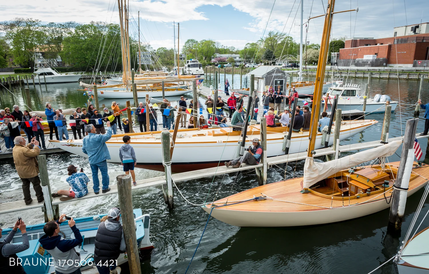 BRAUNE_170506_4421.jpg