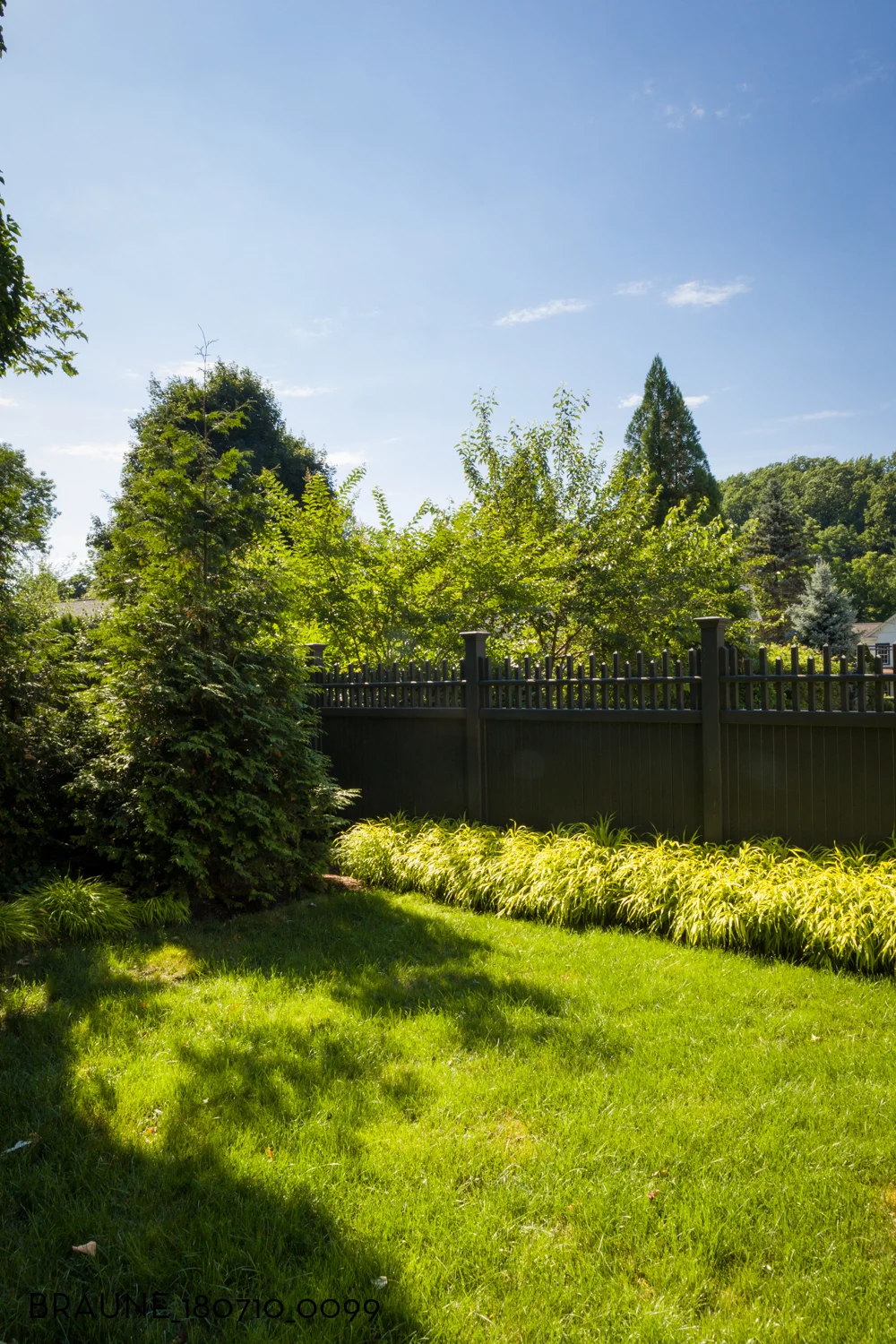 BRAUNE_180710_0099.jpg