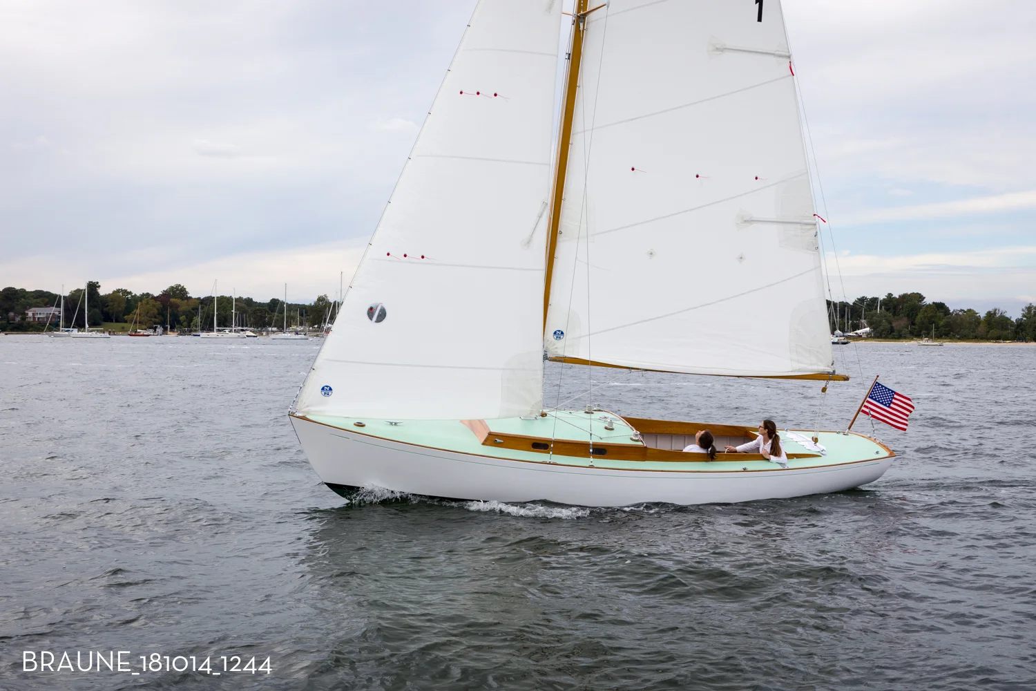 BRAUNE_181014_1244.jpg