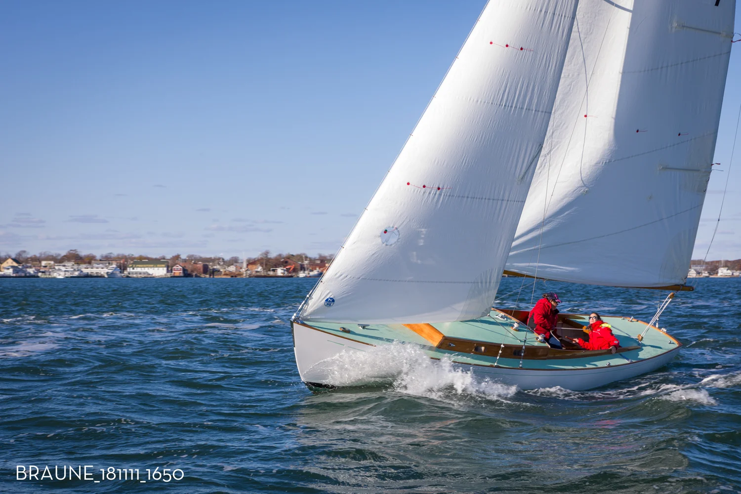 BRAUNE_181111_1650.jpg