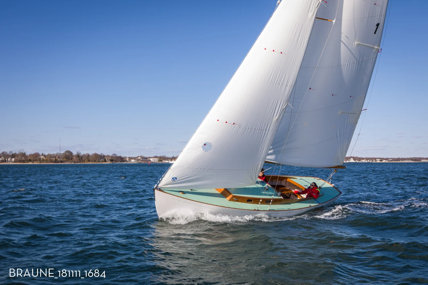 BRAUNE_181111_1684.jpg
