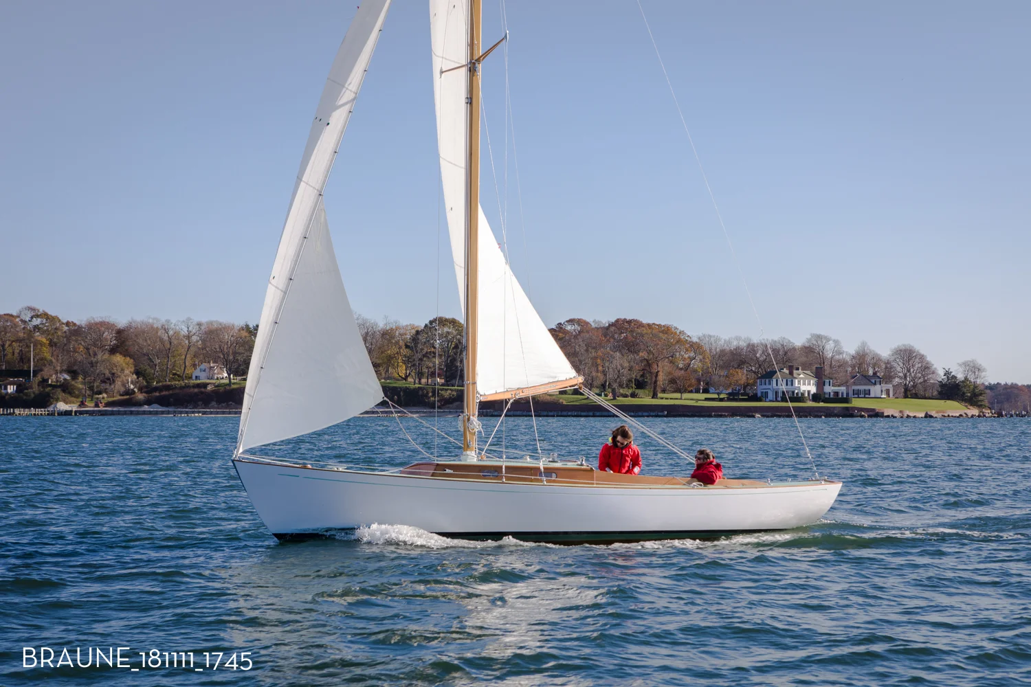 BRAUNE_181111_1745.jpg
