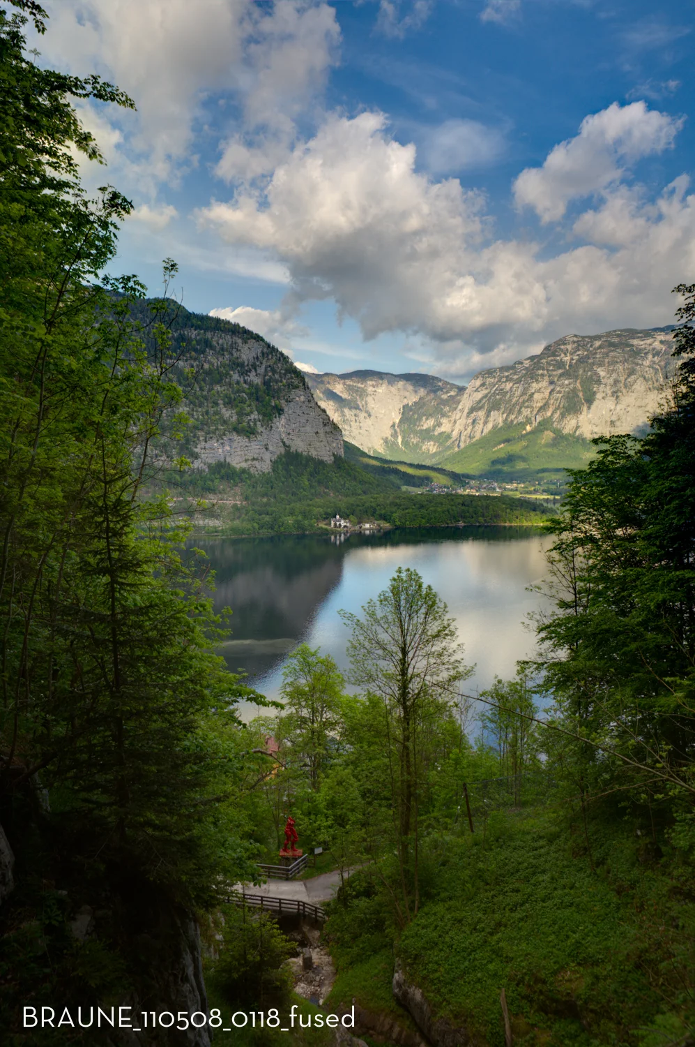 BRAUNE_110508_0118_fused.jpg