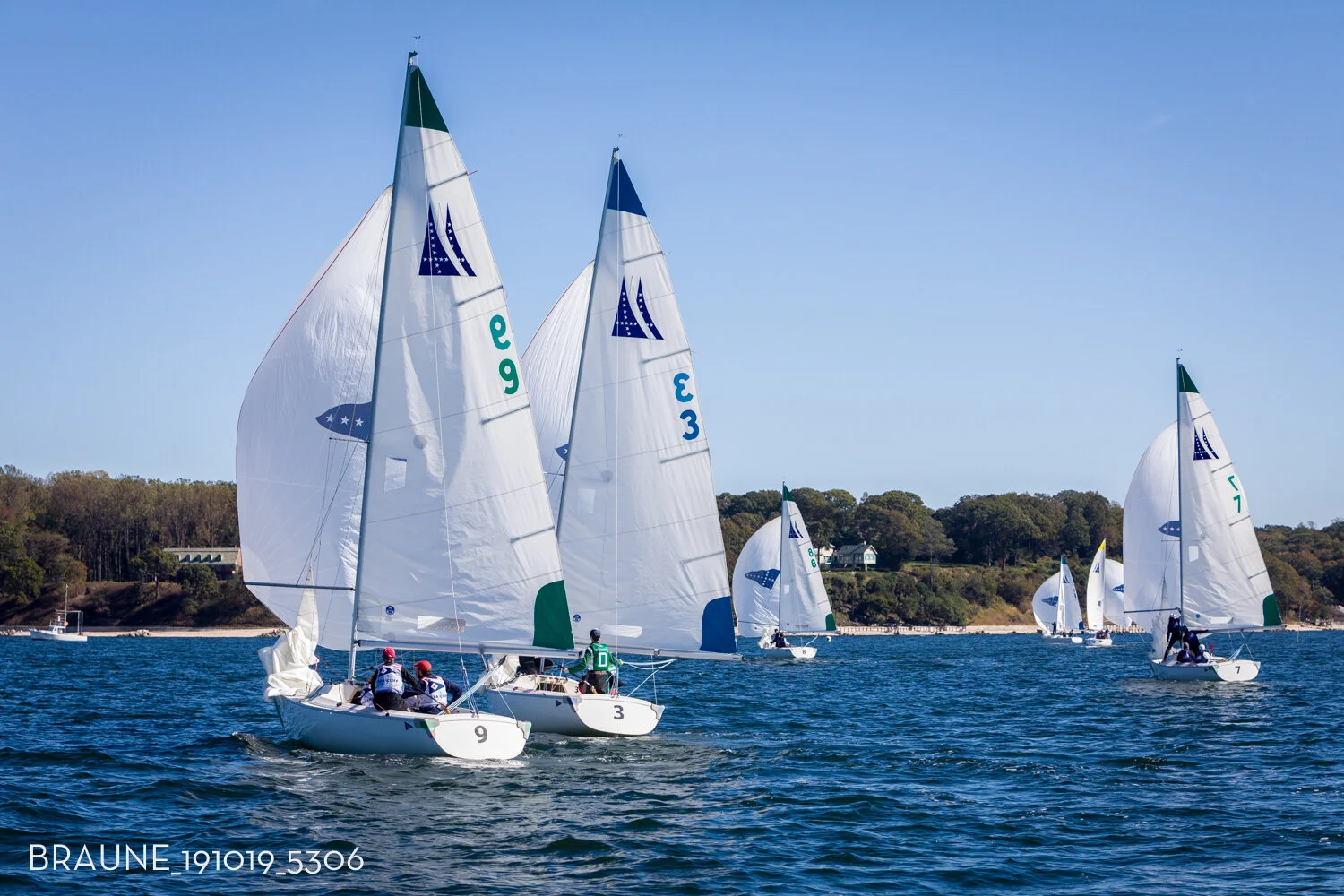 BRAUNE_191019_5306.jpg