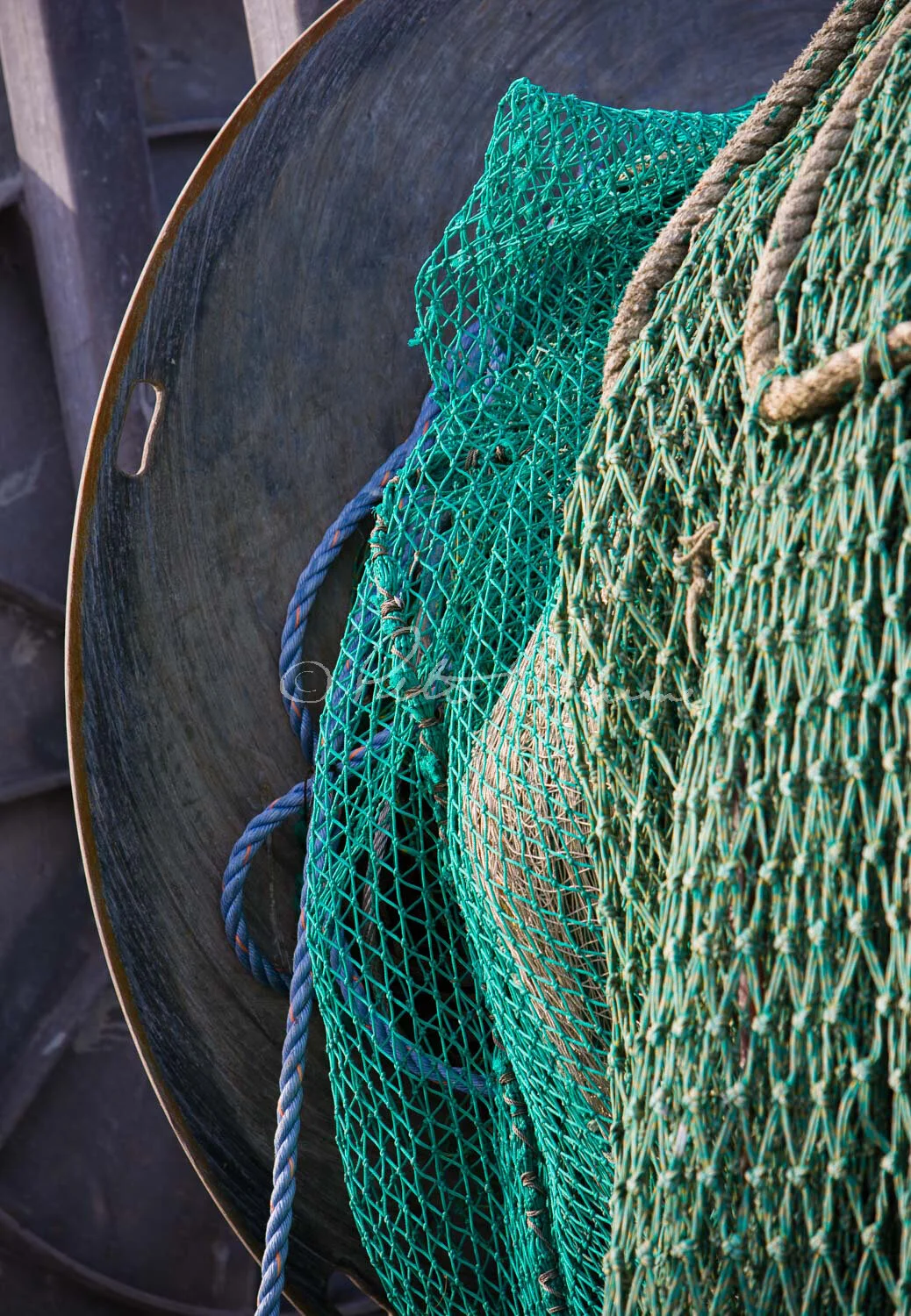BRAUNE_080112_1262.jpg