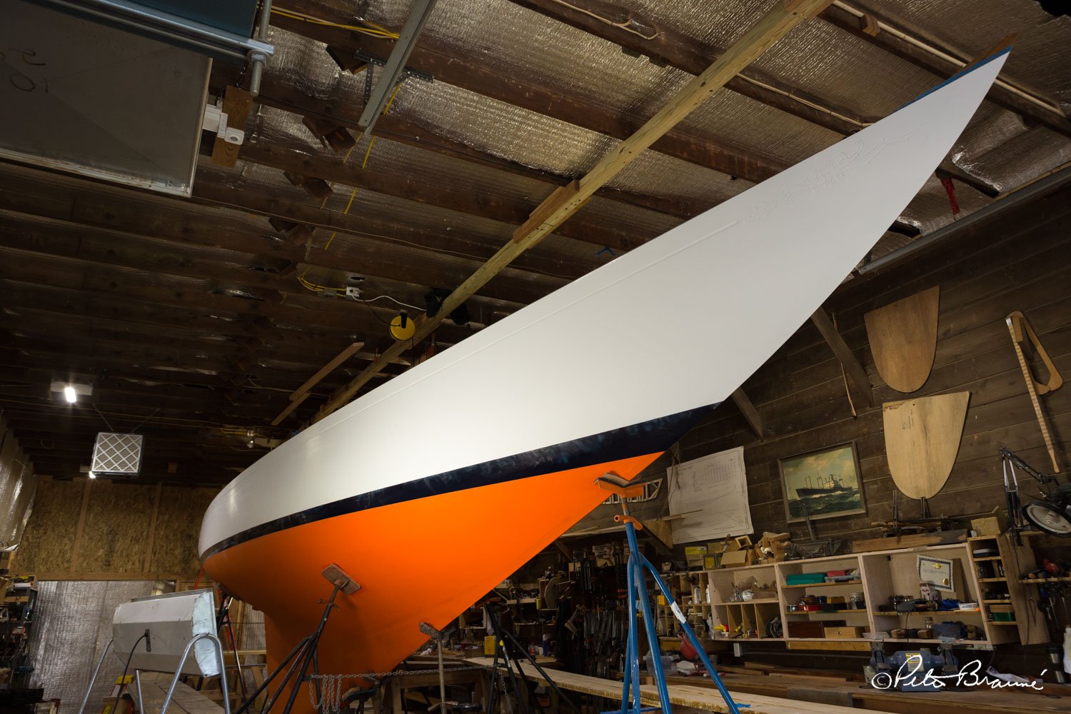 BRAUNE_170428_4158.jpg