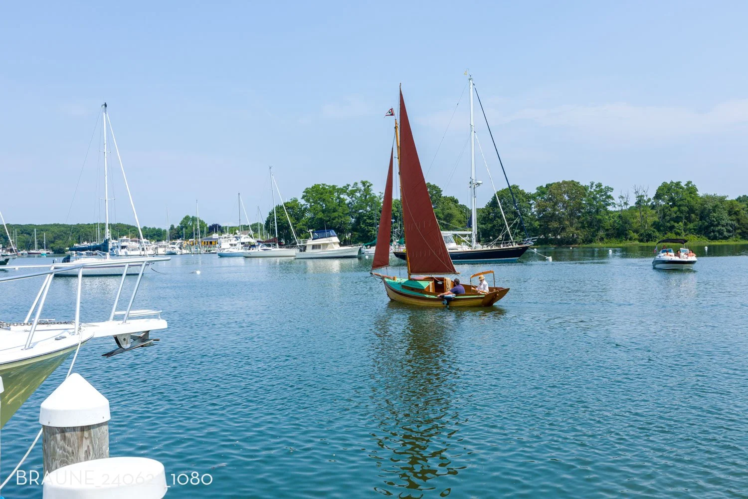 BRAUNE_240622_1080.jpg