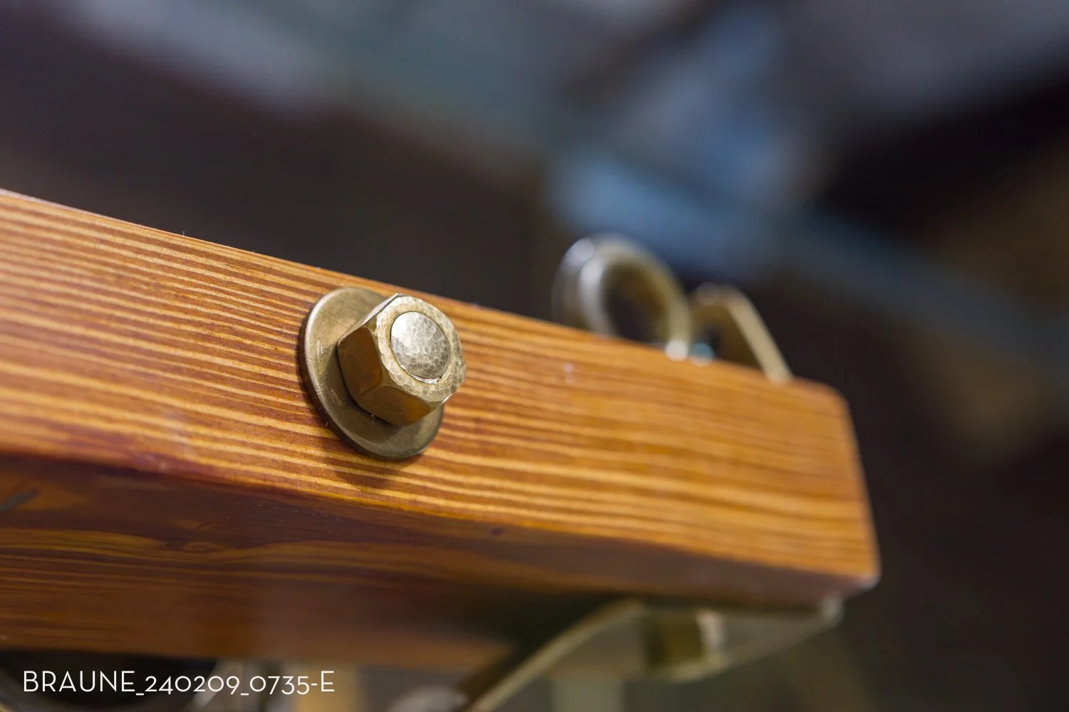 BRAUNE_240209_0735-E.jpg