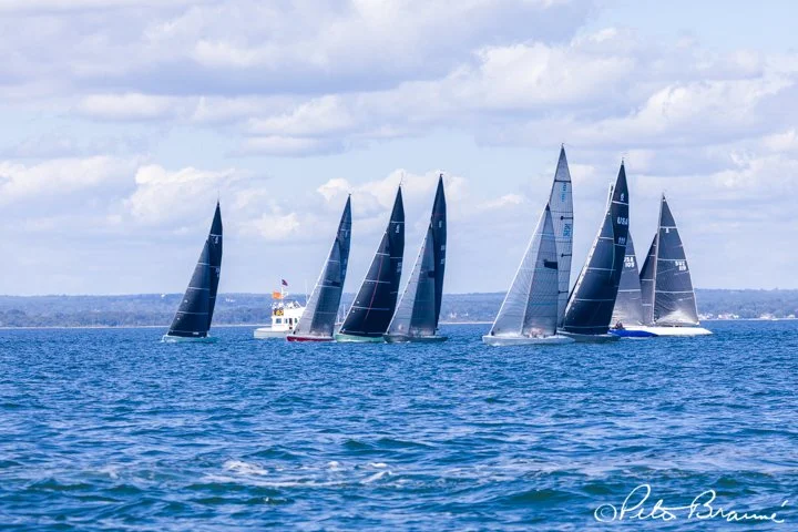 BRAUNE_250926_2720.jpg