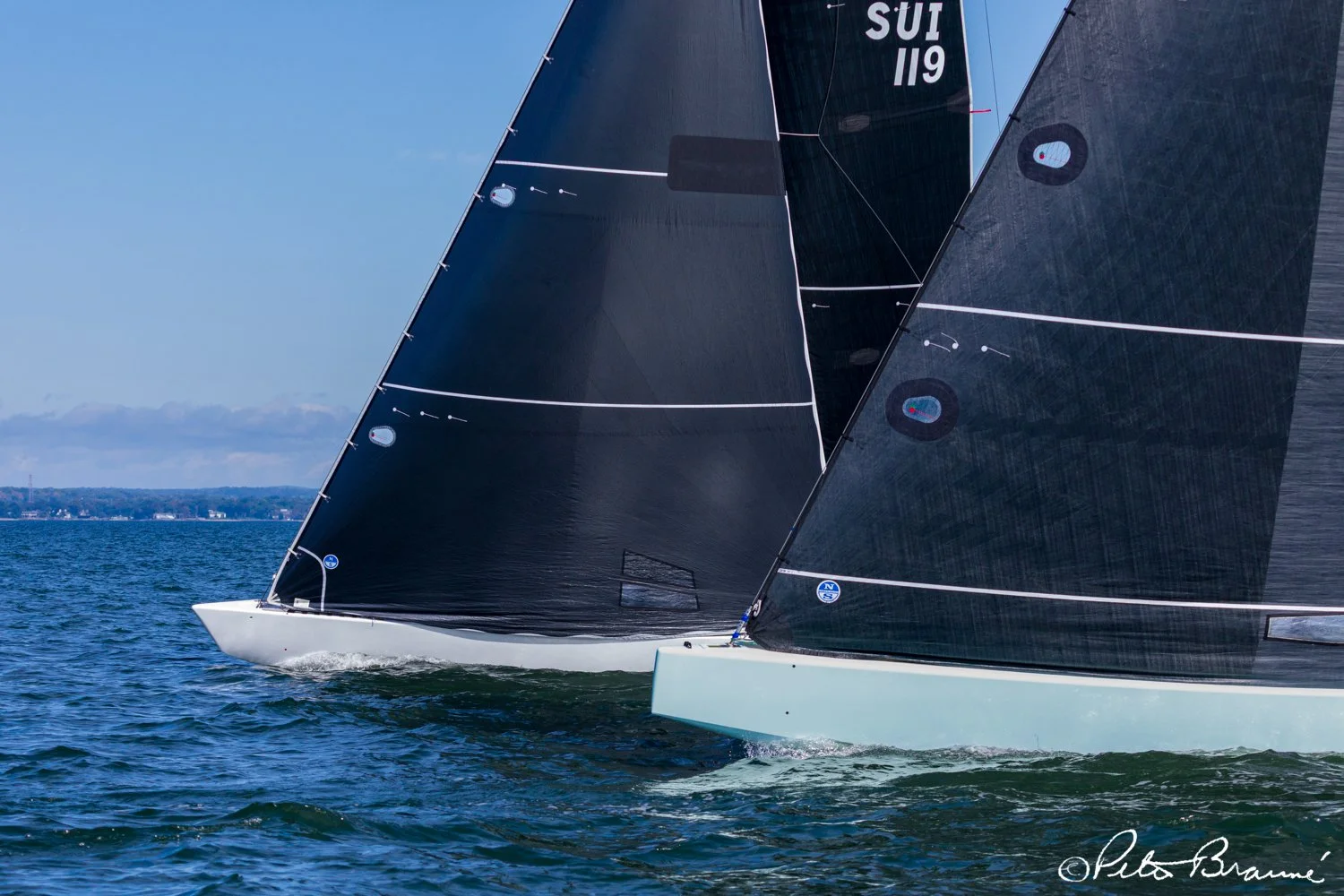 BRAUNE_250926_2587.jpg