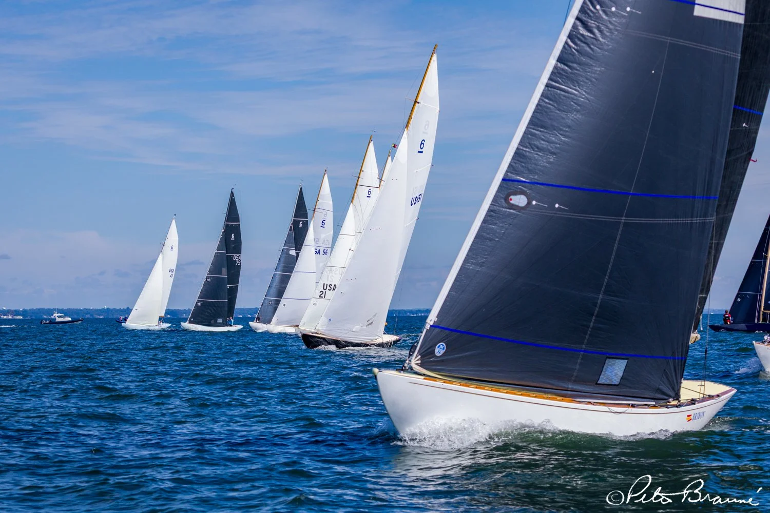 BRAUNE_250926_2647.jpg