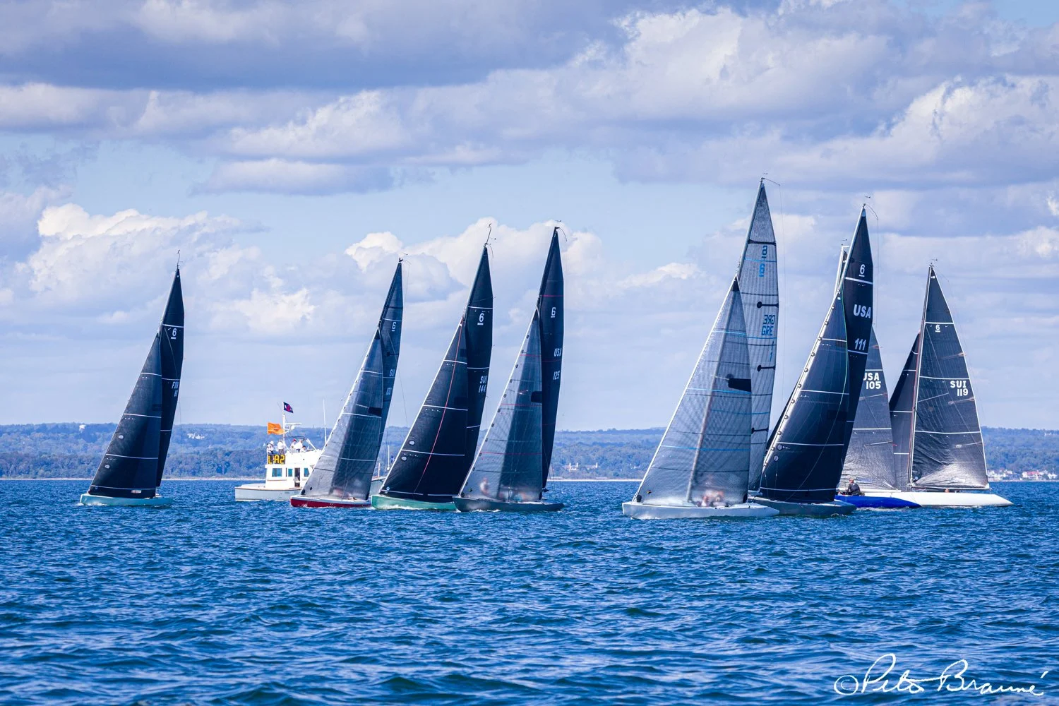 BRAUNE_250926_2720.jpg