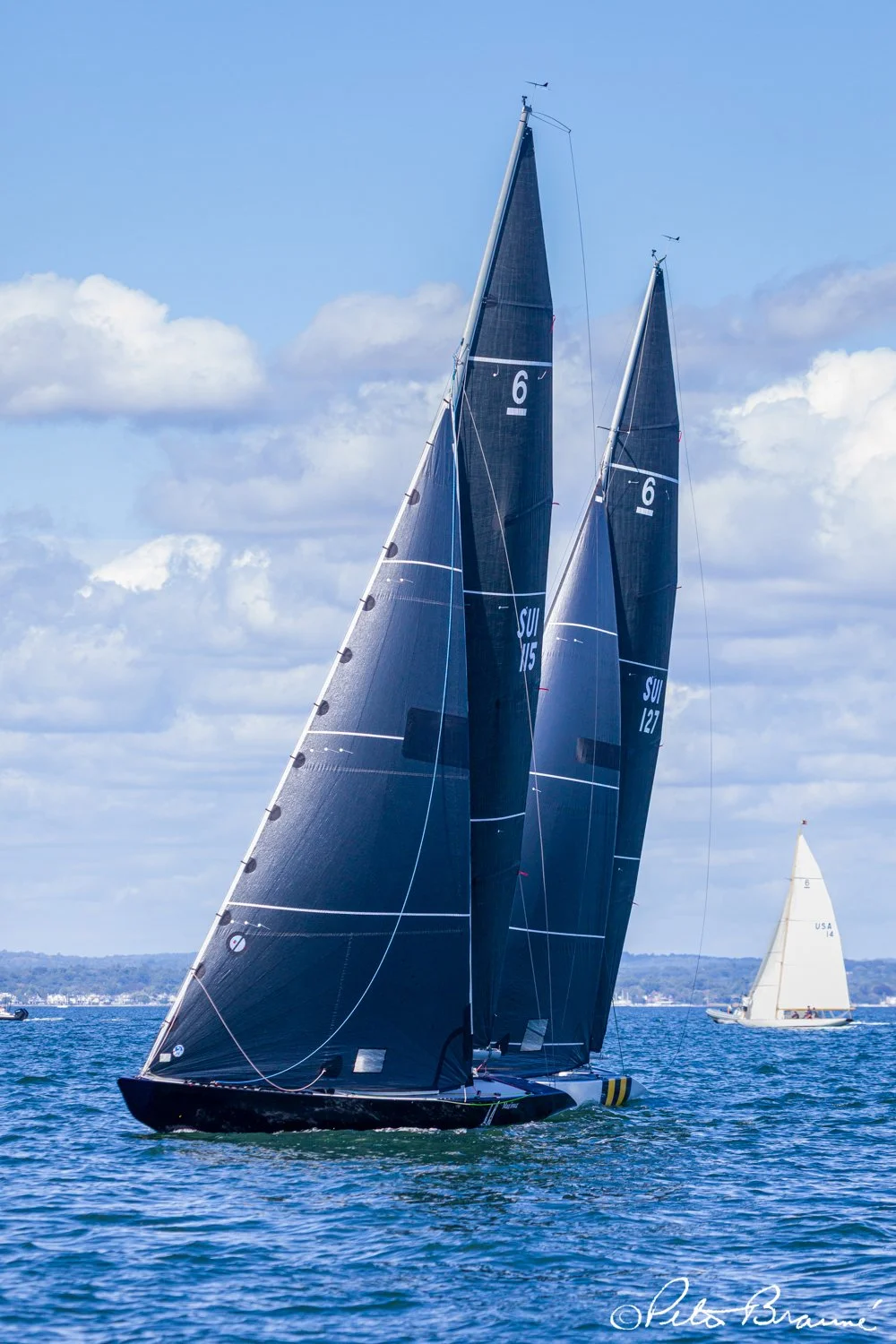 BRAUNE_250926_2725.jpg