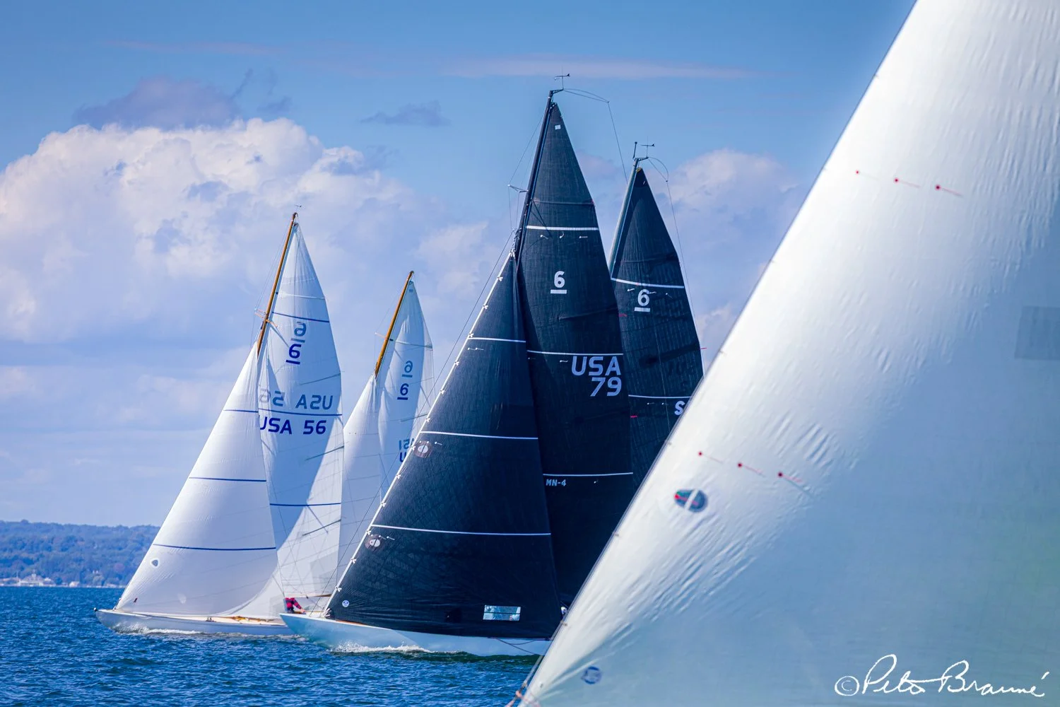 BRAUNE_250926_2767.jpg