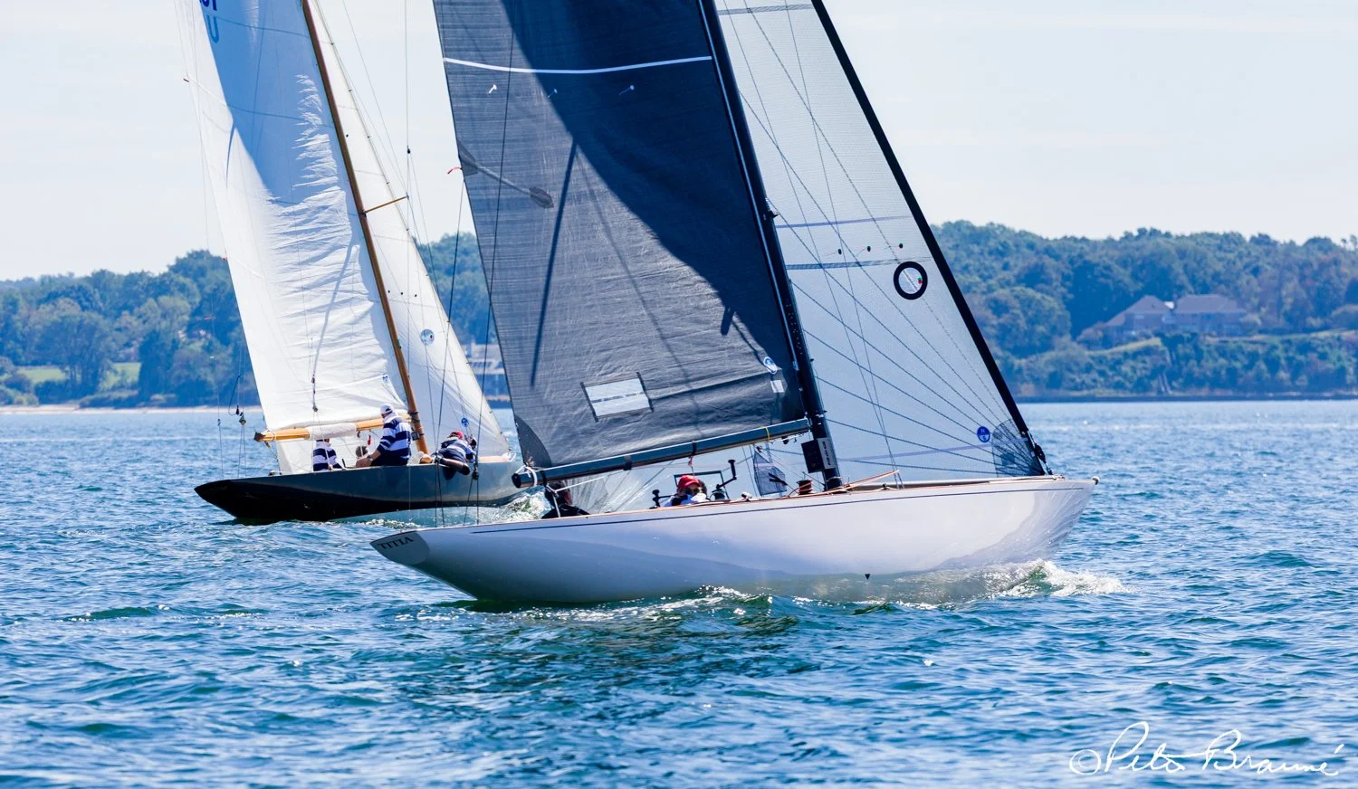 BRAUNE_250926_2812.jpg