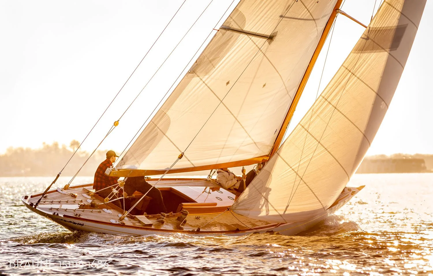 BRAUNE_151116_1686.jpg