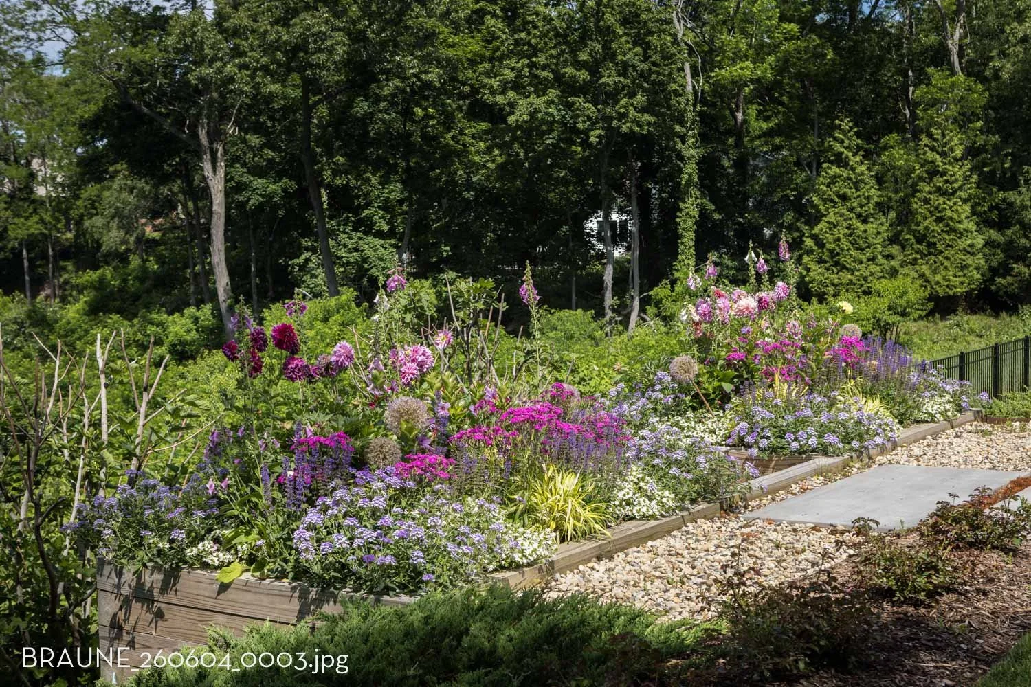 BRAUNE_260604_0003.jpg