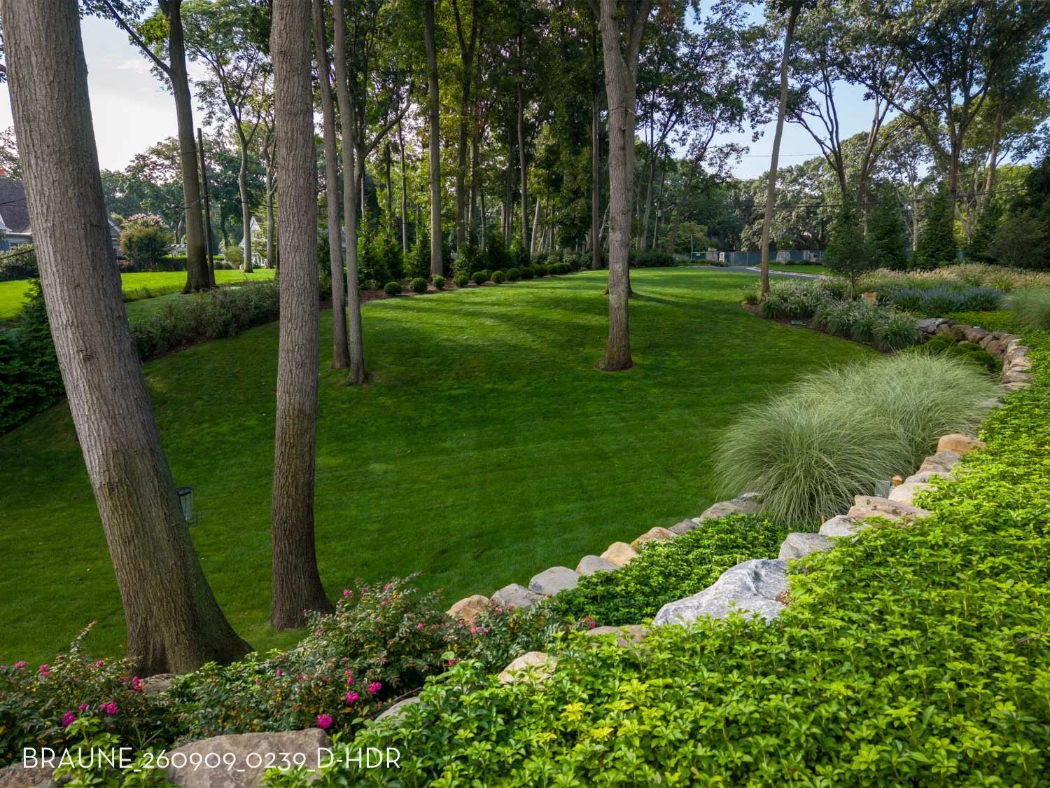 BRAUNE_260909_0239_D-HDR.jpg