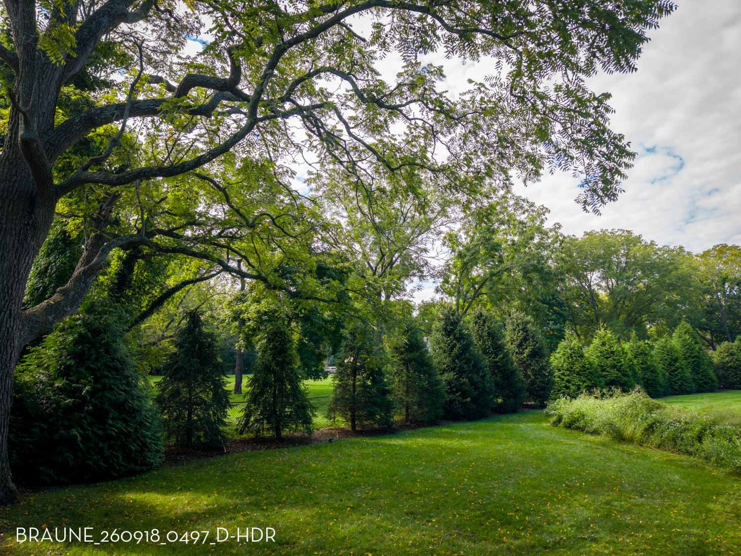 BRAUNE_260918_0497_D-HDR.jpg