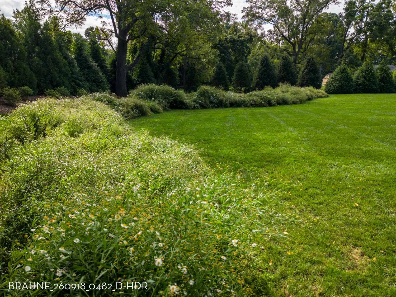 BRAUNE_260918_0482_D-HDR.jpg