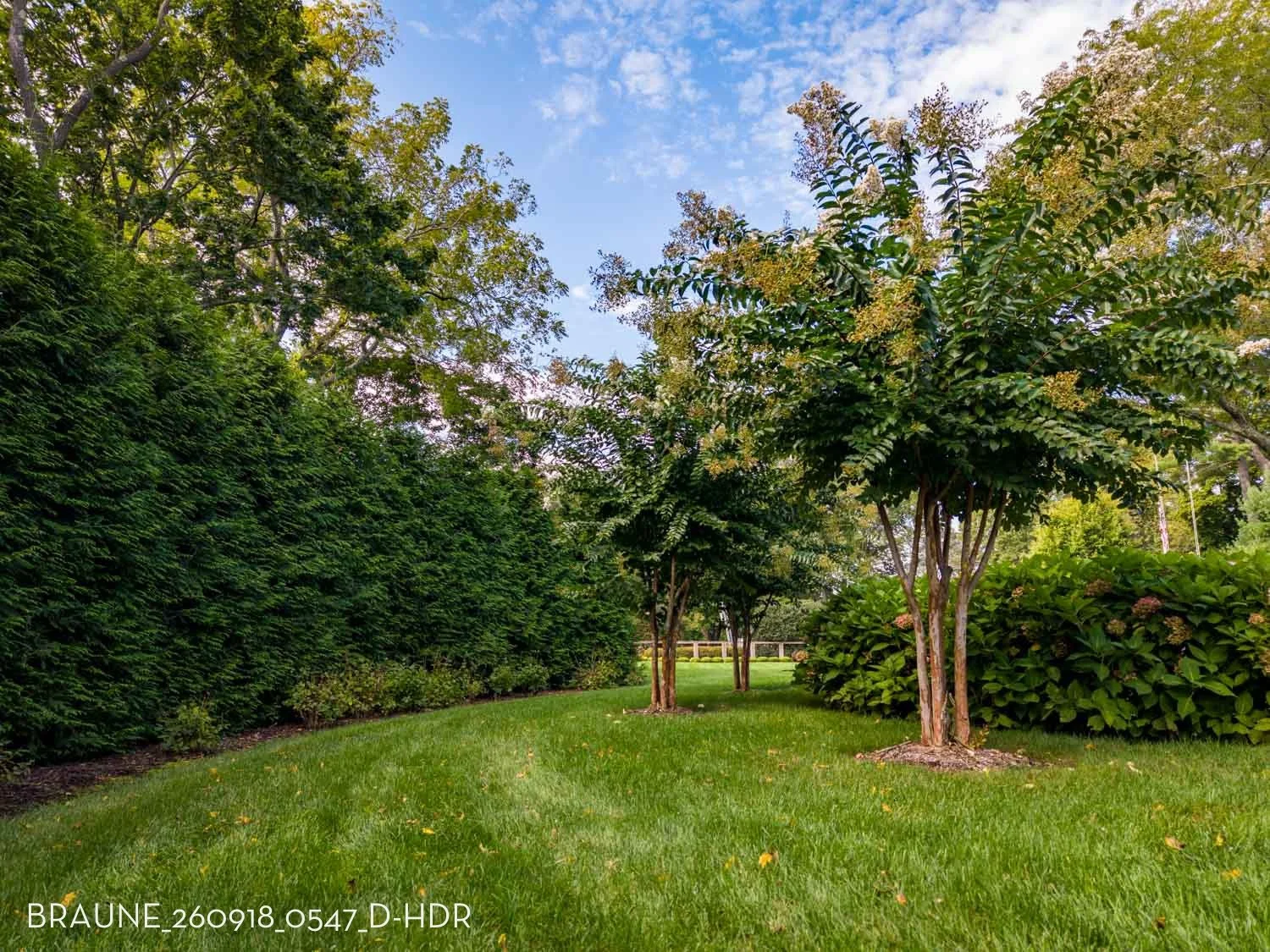 BRAUNE_260918_0547_D-HDR.jpg