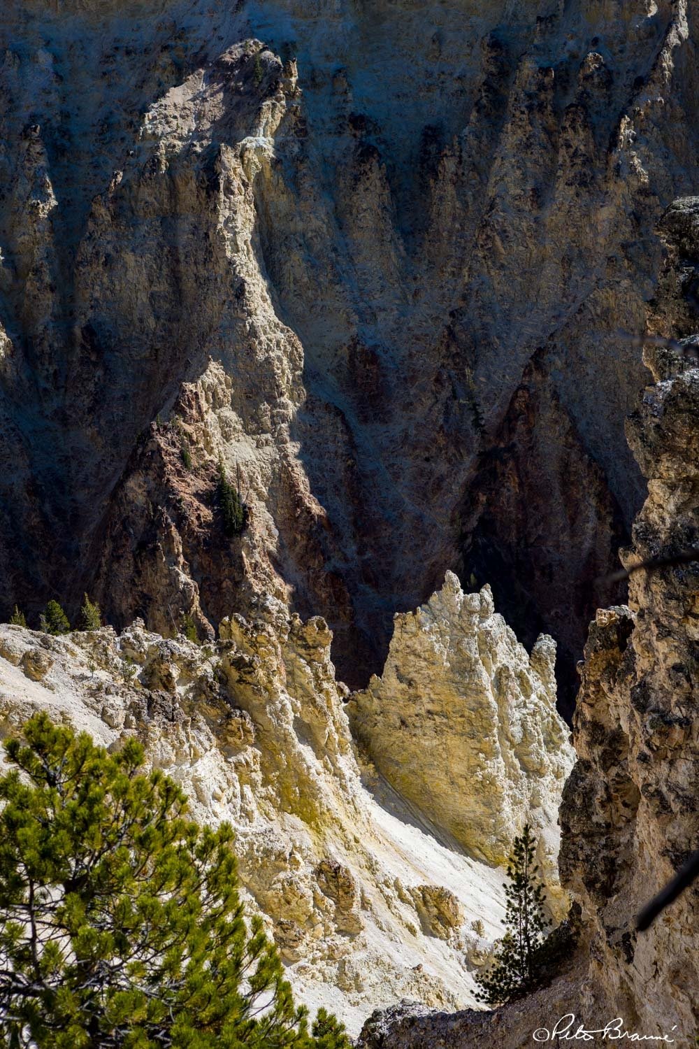 BRAUNE_261006_2250.jpg