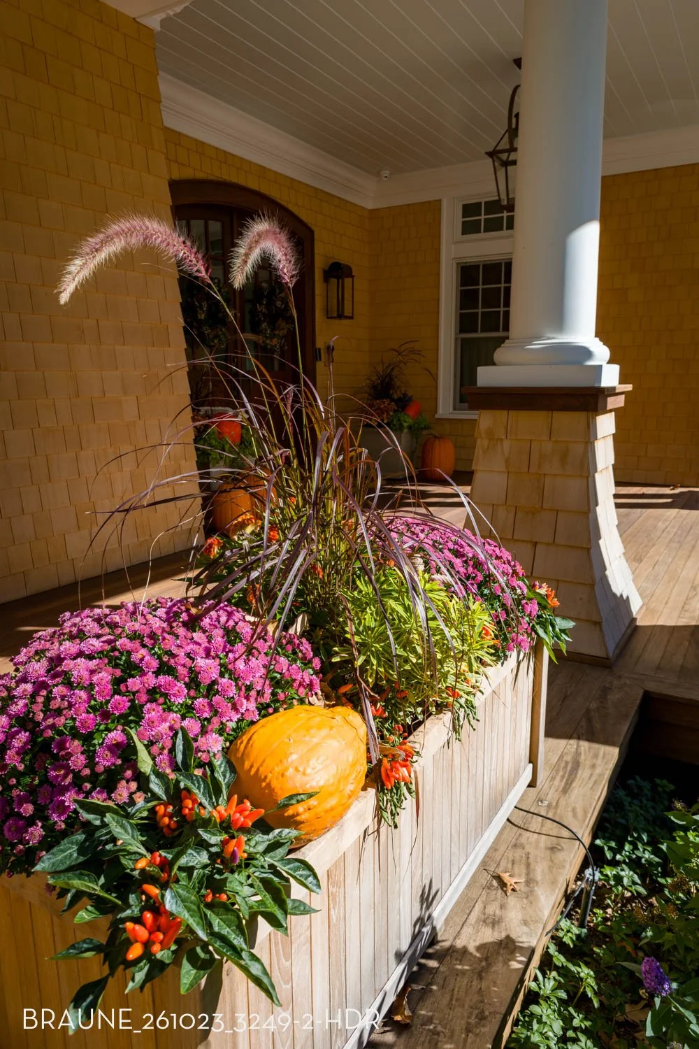 BRAUNE_261023_3249-2-HDR.jpg