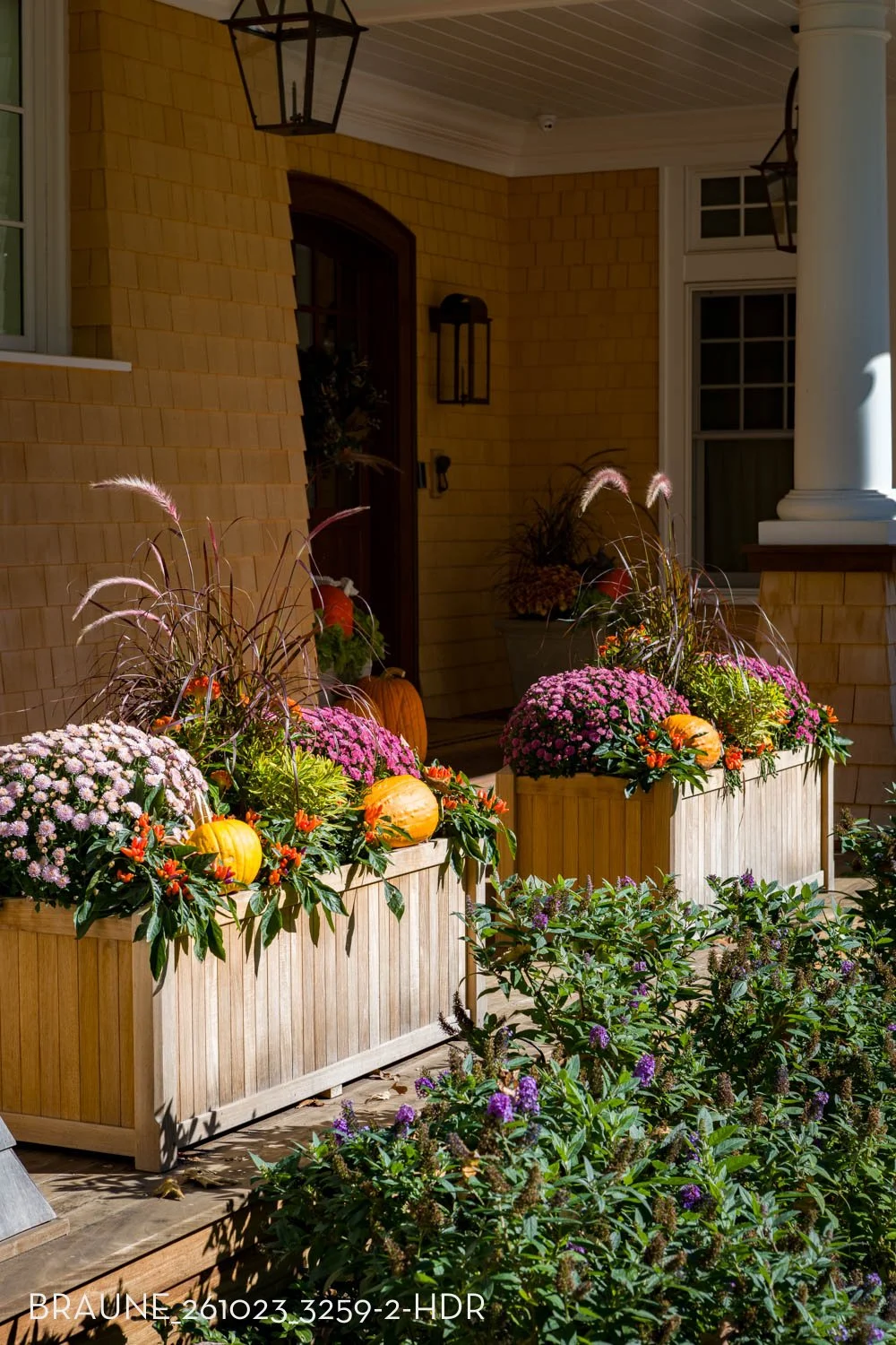 BRAUNE_261023_3259-2-HDR.jpg