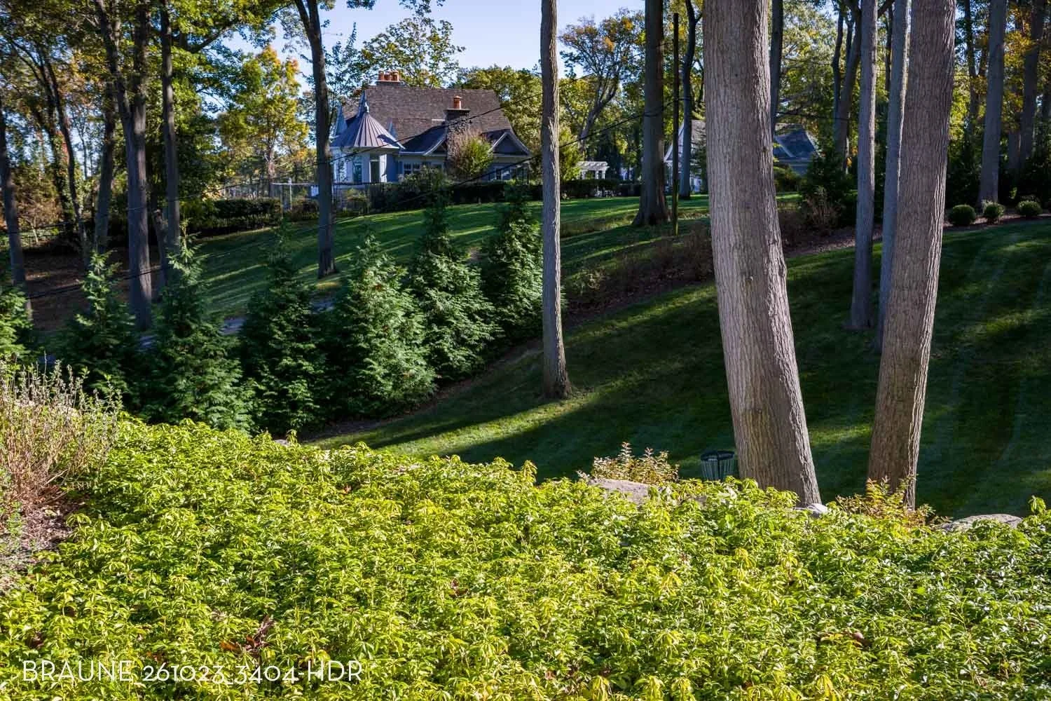 BRAUNE_261023_3404-HDR.jpg