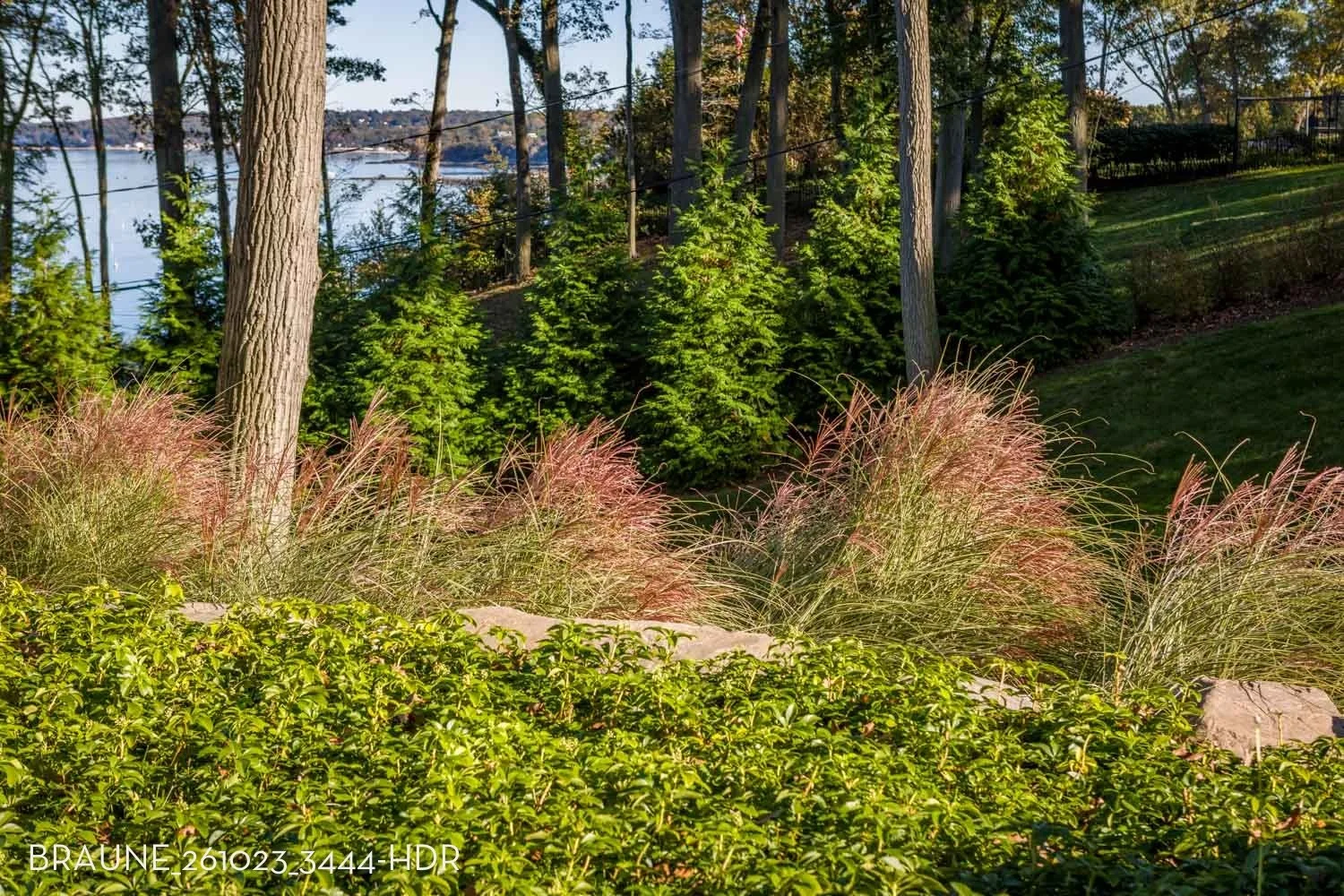 BRAUNE_261023_3444-HDR.jpg