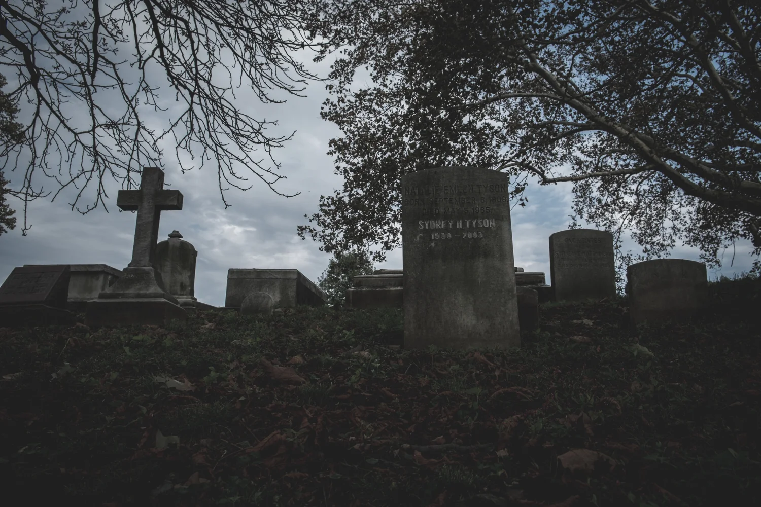DSCF2042.jpg