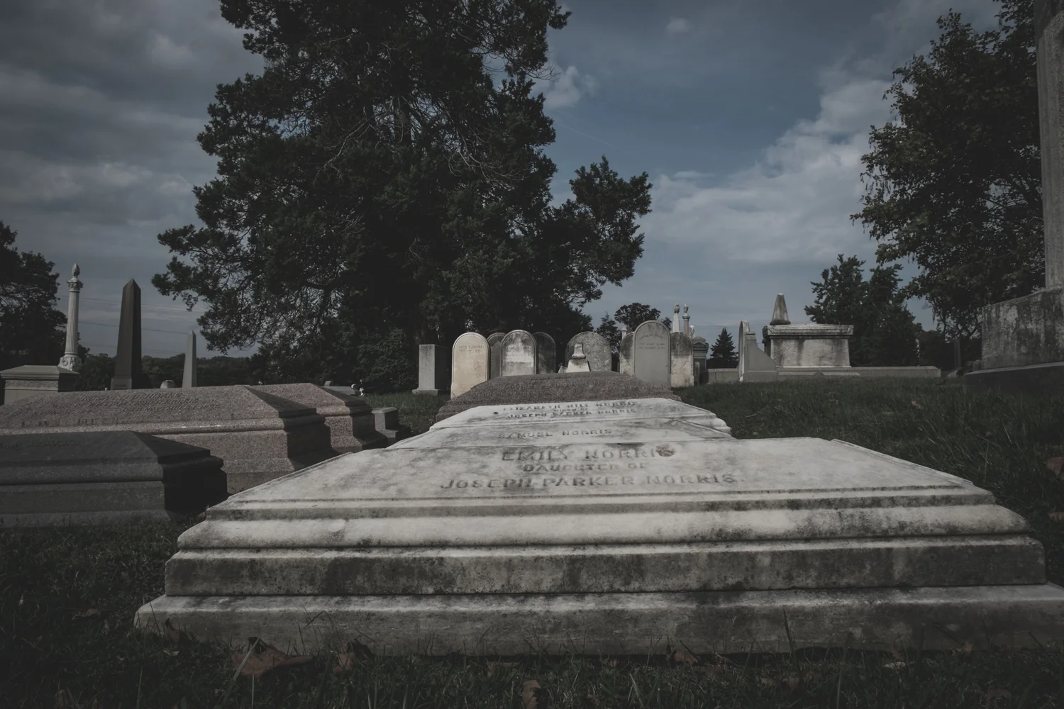 DSCF2062.jpg
