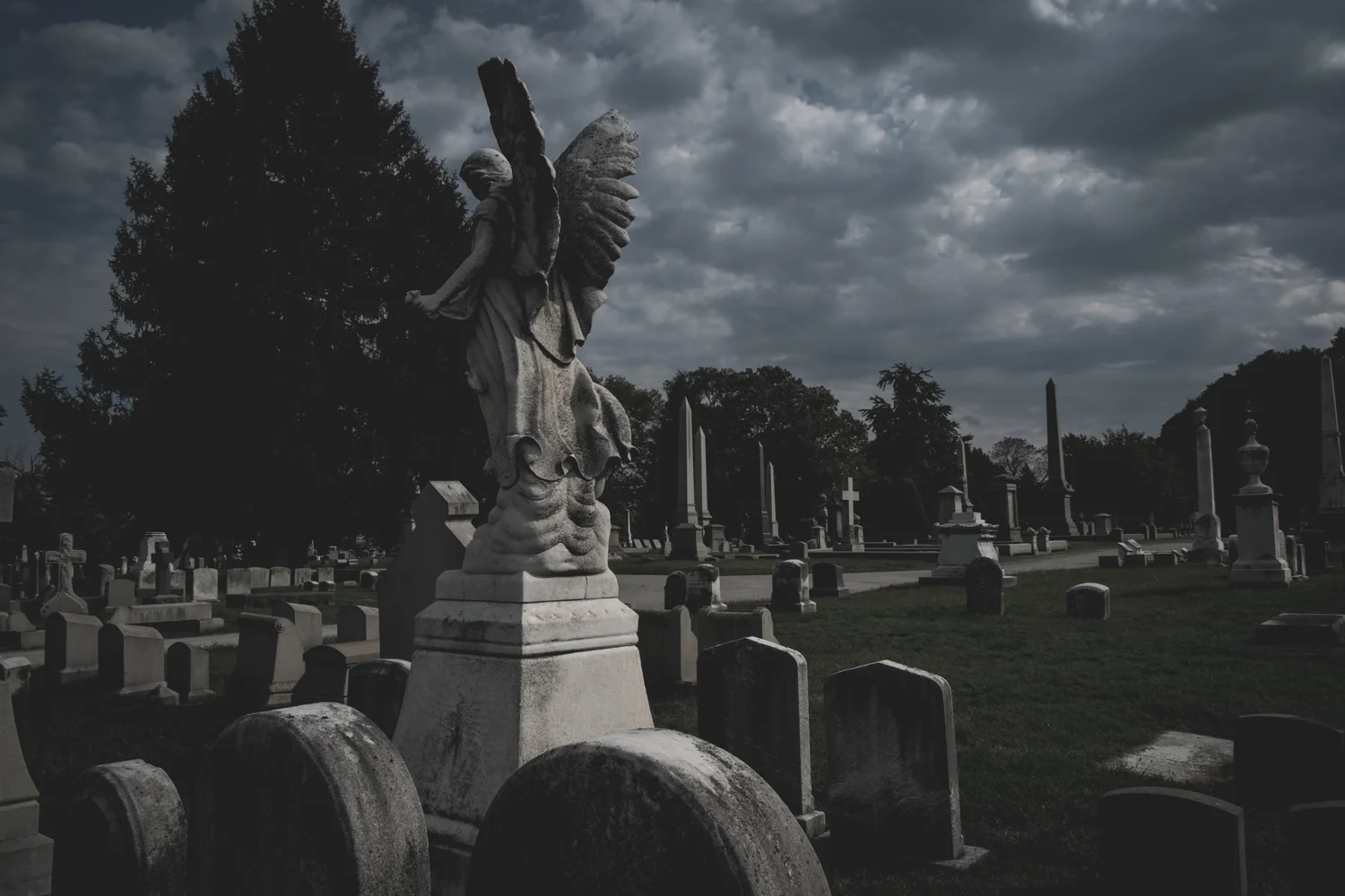 DSCF2076.jpg