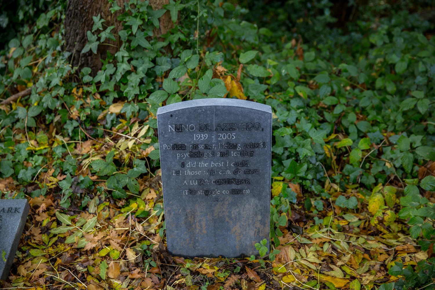 298A5954.jpg