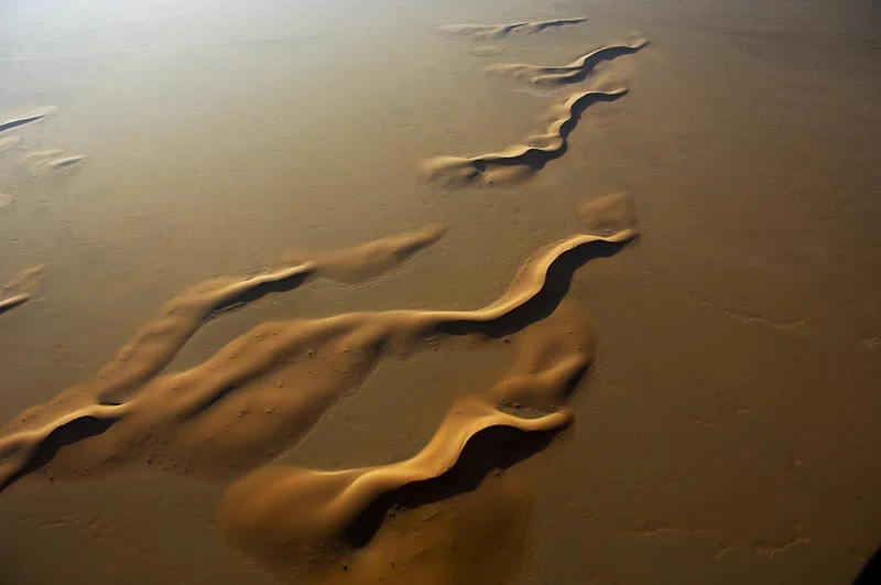 Dune Waves