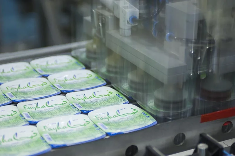 Al-Fayha' Water Factory
