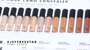 Elf Camo Concealer