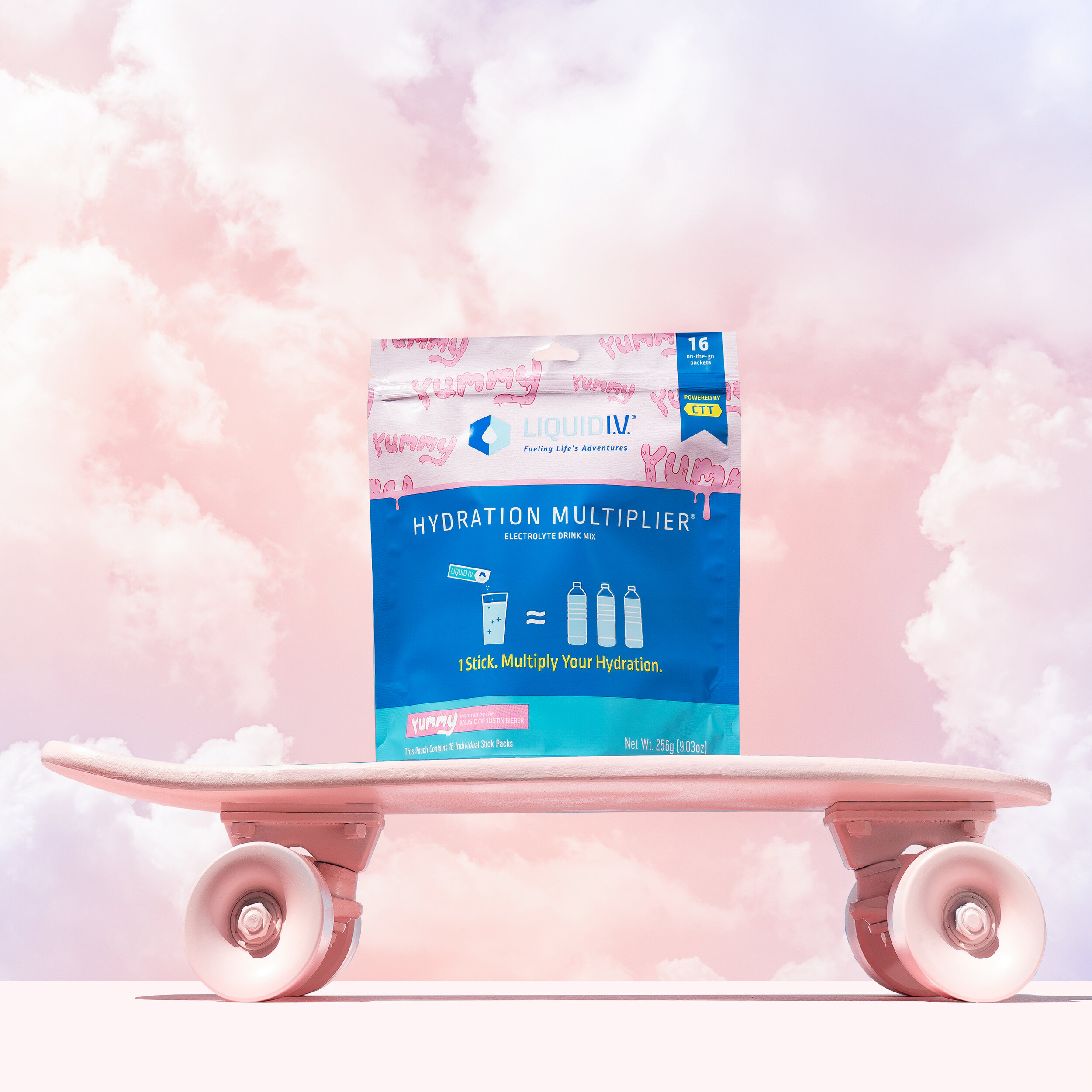 POUCH SKATE SKY 2.jpg